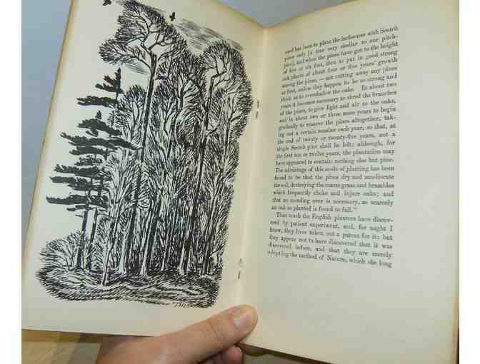 Succession of Forest Trees - H. D. Thoreau, illus. by Thoreau MacDonald (1956)