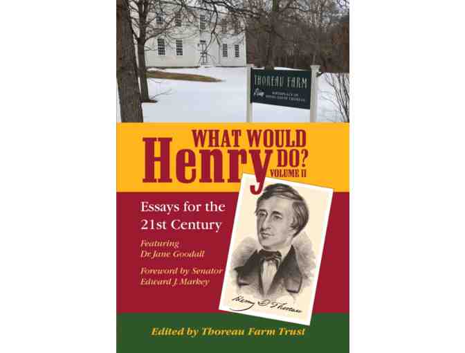 'What Would Henry Do?: Essays for the 21st Century' Volumes 1 & 2