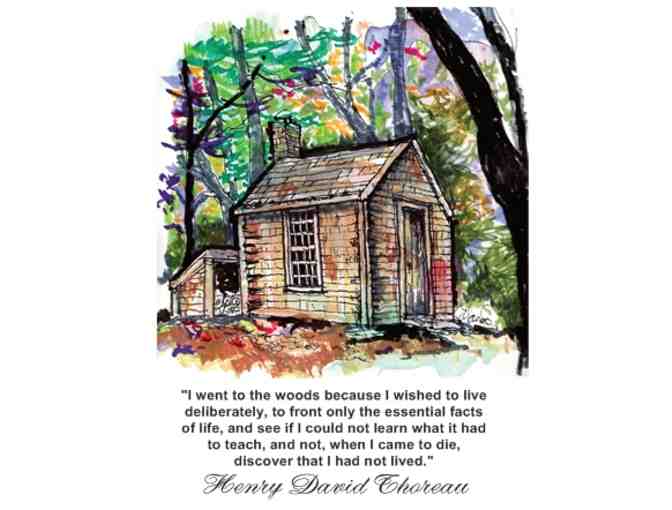 Walden House "I went to the woods" Poster, by illustrator Marianne Orlando (copy 1) - Photo 1