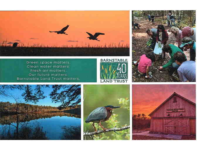 One-Year Membership to the Barnstable Land Trust + Swag! - Photo 1