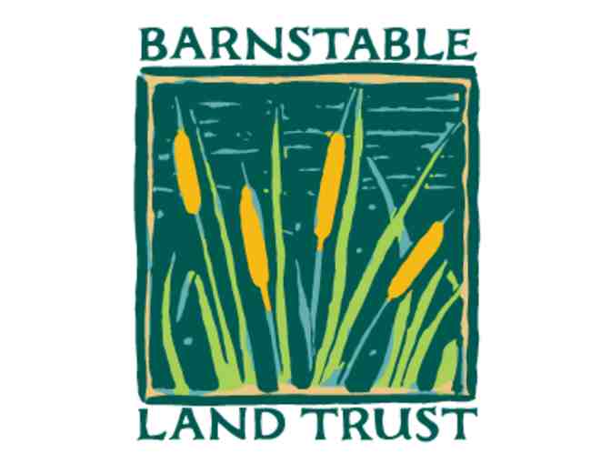 One-Year Membership to the Barnstable Land Trust + Swag! - Photo 3