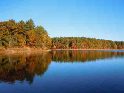 Walden Pond Autumn Reflection - Matted Giclee Print by Deborah Shneider Smith