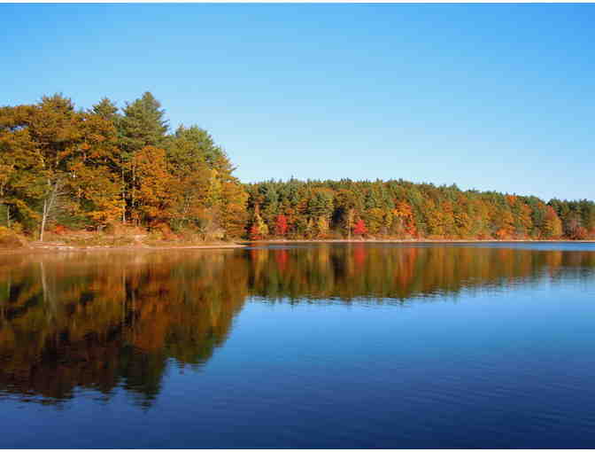 Walden Pond Autumn Reflection - Matted Giclee Print by Deborah Shneider Smith - Photo 1