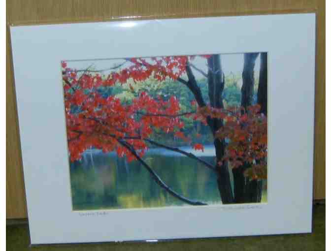Walden Pond in Autumn - Matted Giclee Print by Deborah Shneider Smith