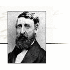 Sponsor: The Writings of Henry D Thoreau
