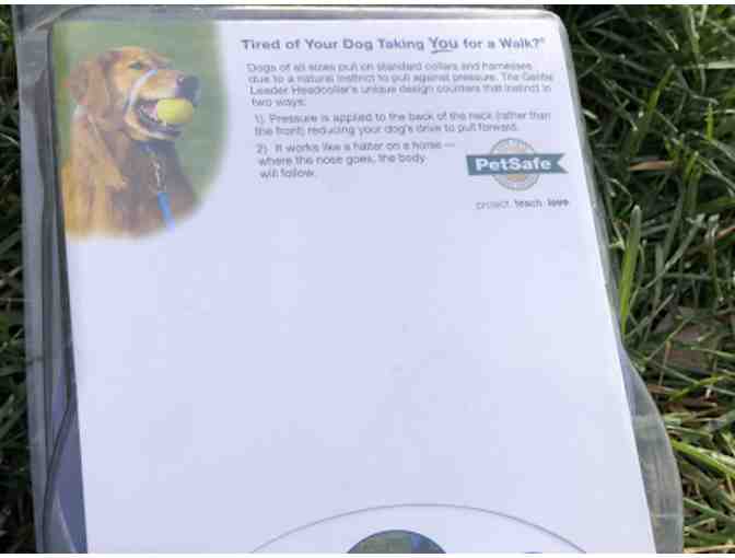 Gentle Leader for Small Dog