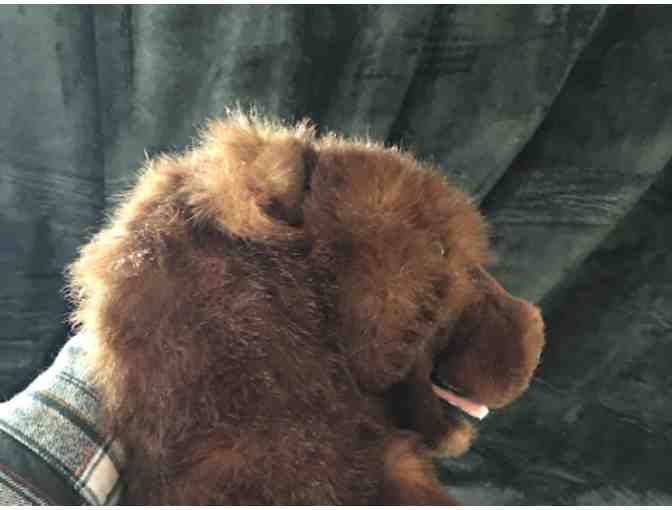 Sweet Bear Hand Puppet