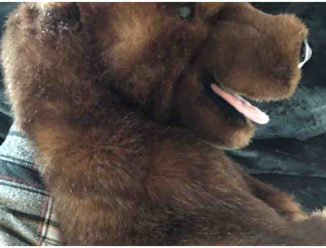 Sweet Bear Hand Puppet