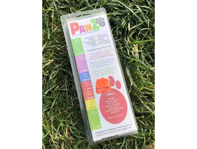 Doggiewear Package: Booties, Harness and Apparel