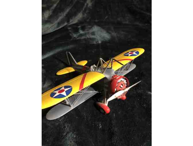 Rare Sparrowhawk Antique Model Plane