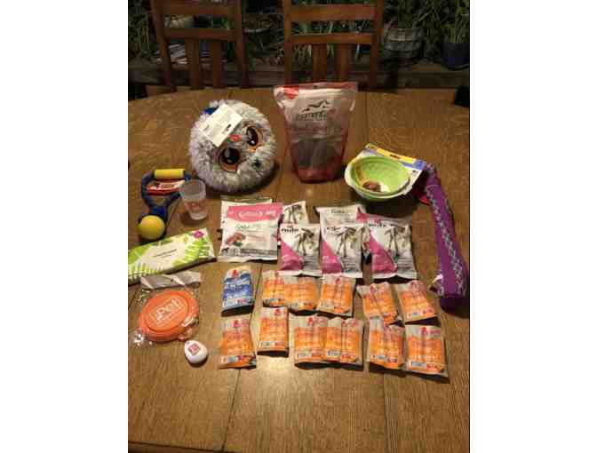 Bend Pet Express Gift Tote