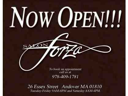 Gift Card for A Single Process Color and Cut at Salon Forza (with Ali)