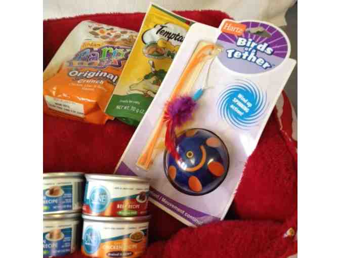 Cat's Delight - Plush Bed, Toys and Treats