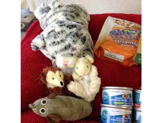 Cat's Delight - Plush Bed, Toys and Treats