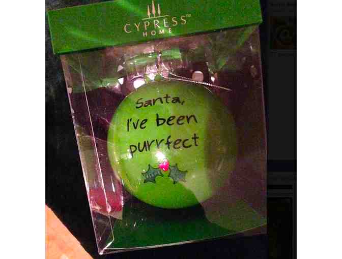 Cat's on the Tree! In the Very Best Way