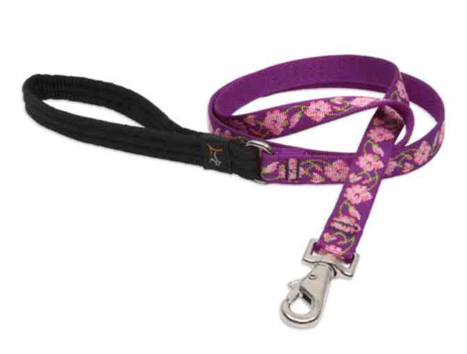 Lupine Pet 'Rose Garden' Leash and Collar Set