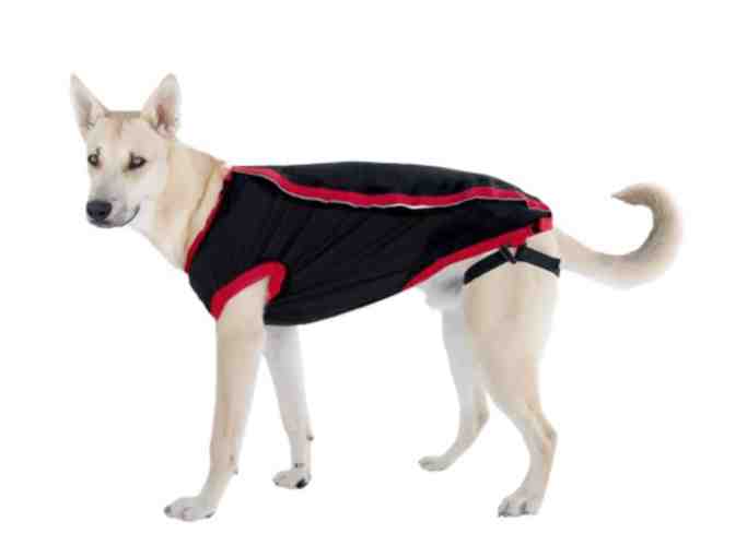 Kong Anxiety Reducing Dog Shirt - medium/large