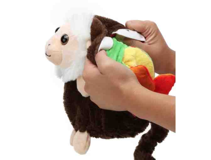 Pop Out Pets - Rainforest Pets