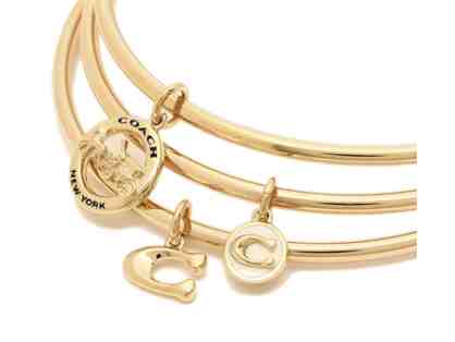 COACH HORSE AND CARRIAGE BANGLE SET - 3 BANGLES