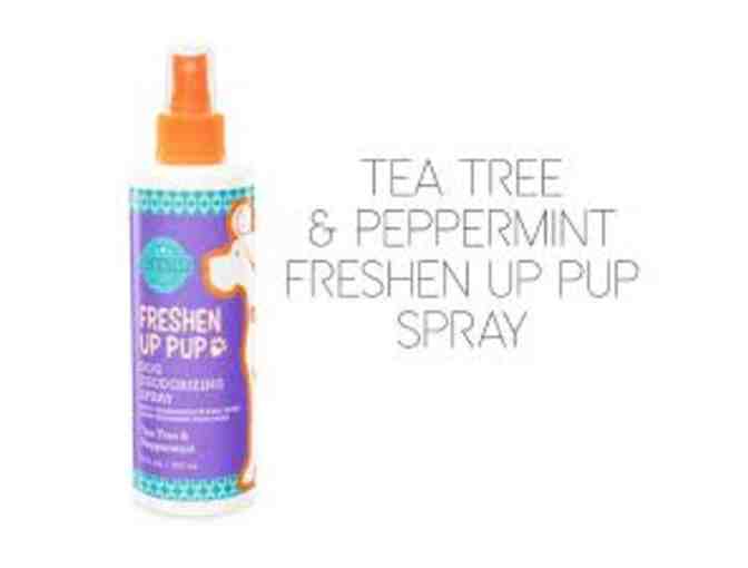 Scentsy Freshen Up Pup Spray
