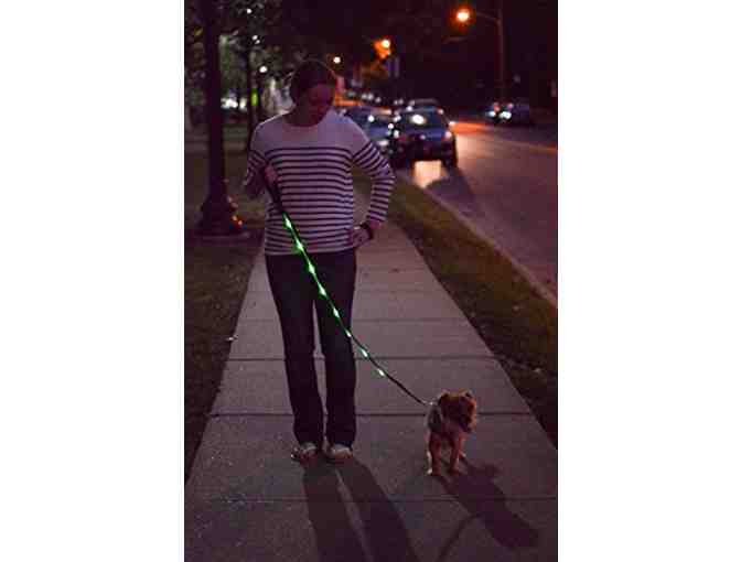 Rechargeable LED Lighted Leash
