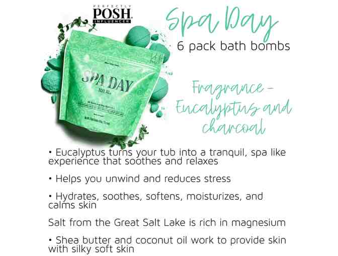 Spa Day Bath Bombs (six pack)