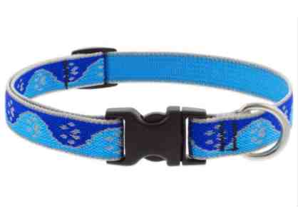 Lupine Pet Reflective Dog Collar - Blue Paws 13"- 22"