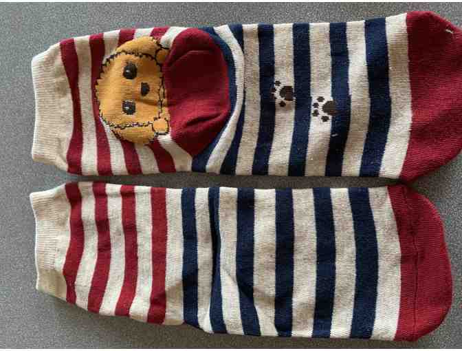 Peeking Puppy Crew Socks - Red stripes