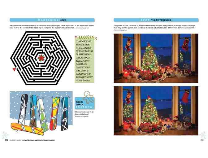 Christmas Puzzle Book