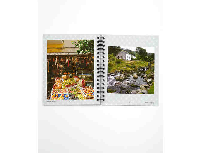 Find the Cat Puzzle Book