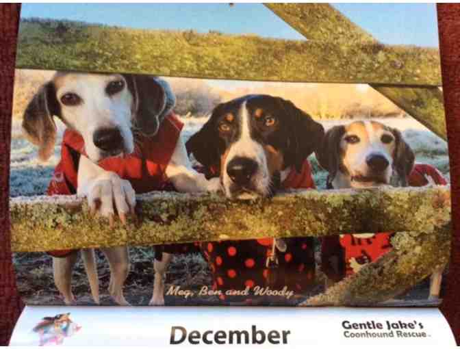 2021 Coonhound Wall Calendar - Photo 1