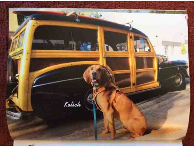 2021 Coonhound Wall Calendar