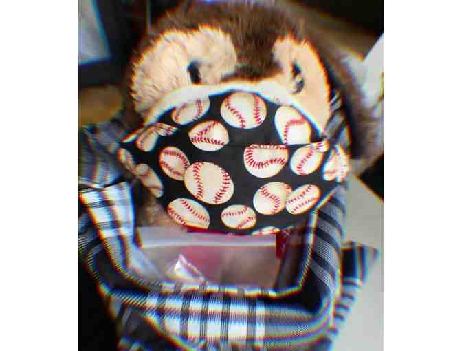 Pandemic Pup: child's mask