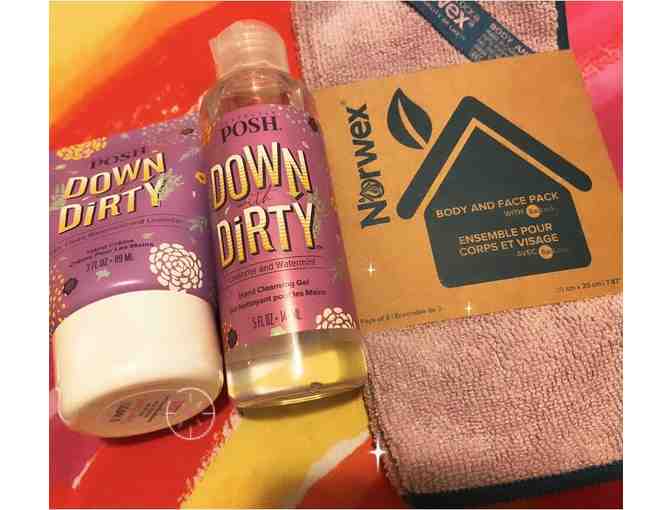 Down With Dirty Kit (Posh and Norwex) - Photo 1