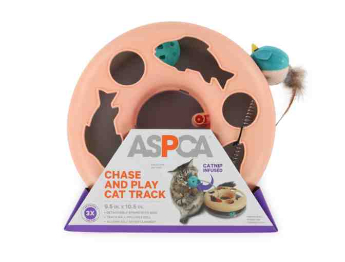ASPCA Chase and Play cat track toy