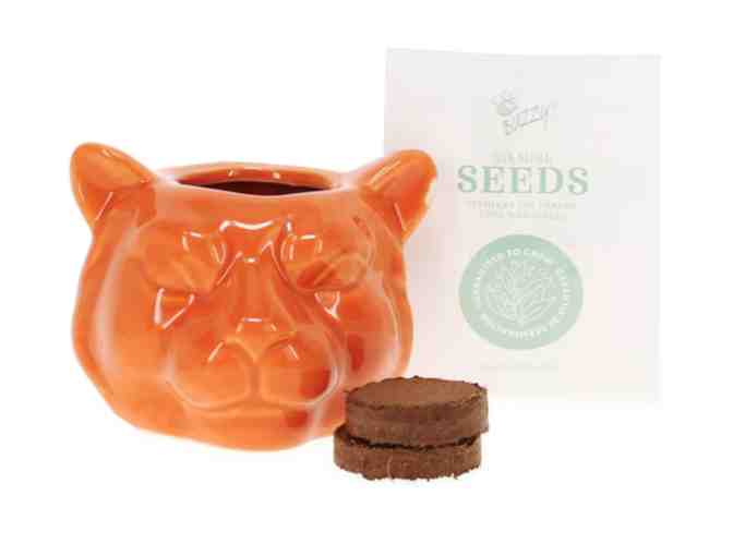 Catnip plant grow kit w/ tiger pot