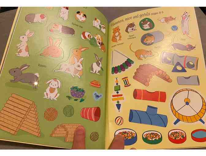 Little Dolly Sticker Book: Pets