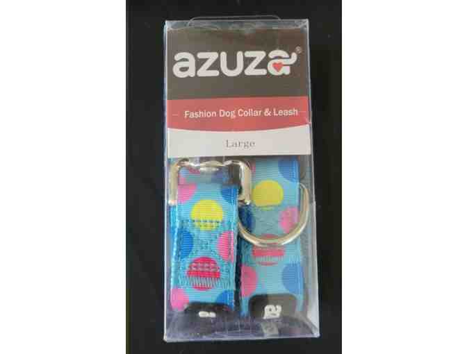 Azuza Collar and Leash set