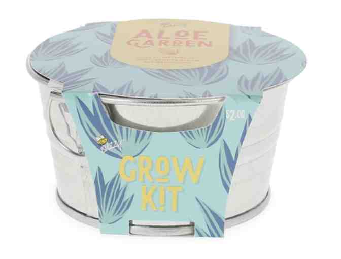 Aloe garden grow kit - Photo 1