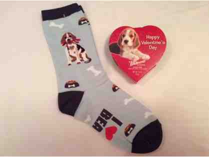 Beagle Socks/Whitman Candy Sampler
