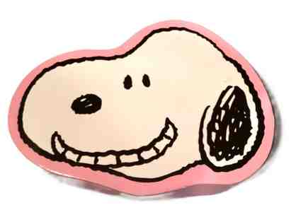 Snoopy Boxed Sock Set