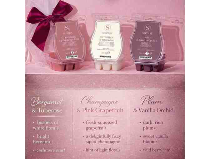 Valentines Day Wax Bar collection by Scentsy