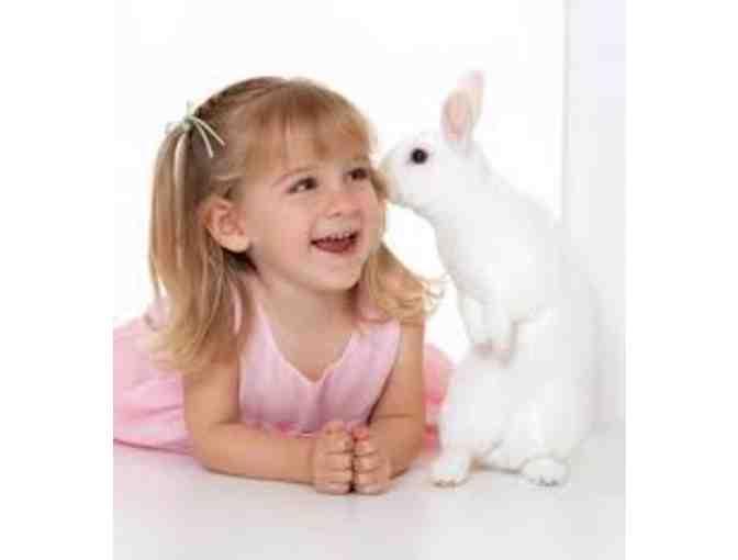 $500 towards Keane Portraits