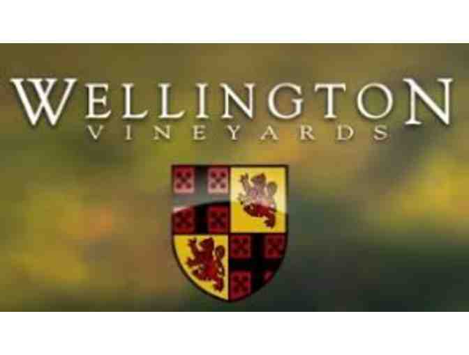 Wellington Cellars (Glen Ellen, CA) VIP tasting for (4)