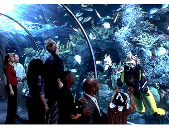 Pint-Sized Day of Fun!