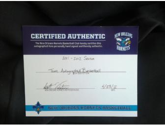 New Orleans Hornets, Official Team Autographed Basketball (Certified Authentic)