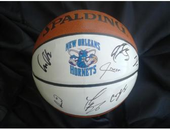 New Orleans Hornets, Official Team Autographed Basketball (Certified Authentic)