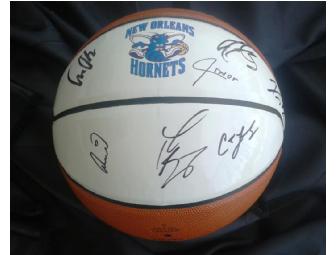New Orleans Hornets, Official Team Autographed Basketball (Certified Authentic)