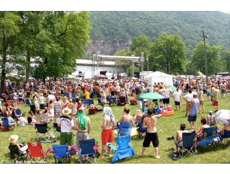 6th Annual DelFest: TWO (2) General Admission 4-Day Passes