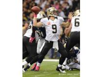 TWO (2) VIP Tickets to New Orleans Saints Regular 2013 Season Home Game in SMG VIP Suite
